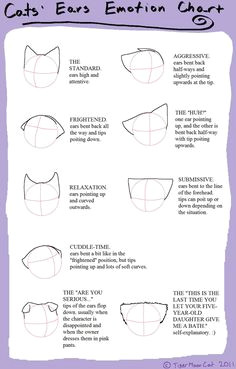 Drawing Anime Ears Cat Ears Neko Text How to Draw Manga Anime How to Draw Manga