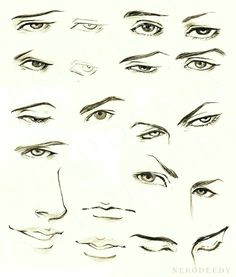 Drawing Anime Eyebrows Manga or Anime Eye Drawings 2 by Siouxstar Deviantart Com On