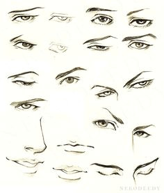 Drawing Anime Eyes Male 100 Best Male Eyes Images Faces Character Inspiration Face Reference