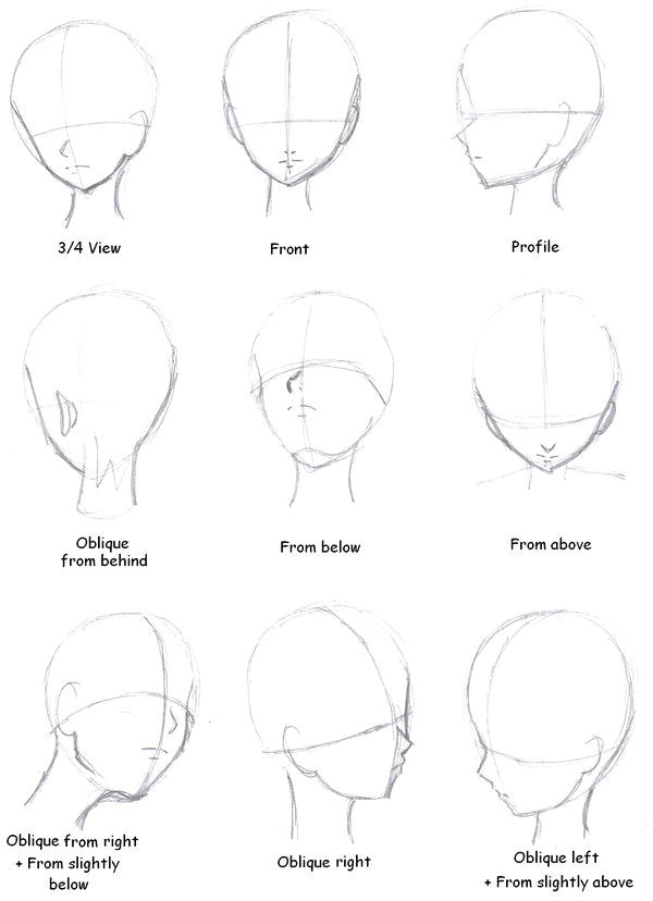 Drawing Anime Face for Beginners Manga Tutorial Head Direction by Mermaidundersea Deviantart Com On