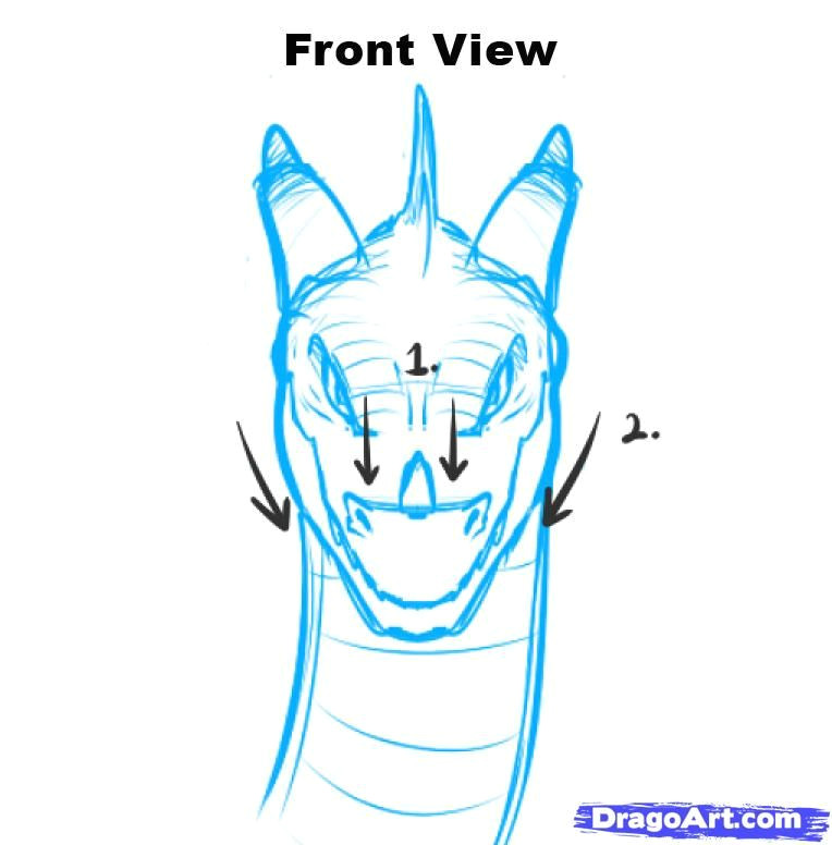 Drawing Anime Front View Dragon Head Drawing Front How to Draw Dragon Heads Step by Step