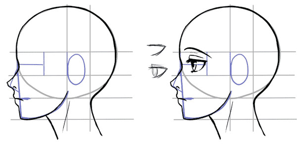 Drawing Anime Head Side View How to Draw the Side Of A Face In Manga Style Manga Tuts