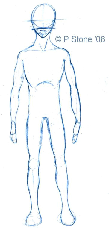 Drawing Anime Male Body How to Draw A Basic Manga Character Body Proportions