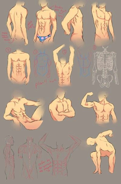 Drawing Anime Male Body Image Result for Muscled Anime Male Characters Body Layout Drawing