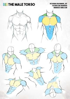Drawing Anime Muscles 76 Best Anime Anatomy Images Manga Drawing Drawing Techniques