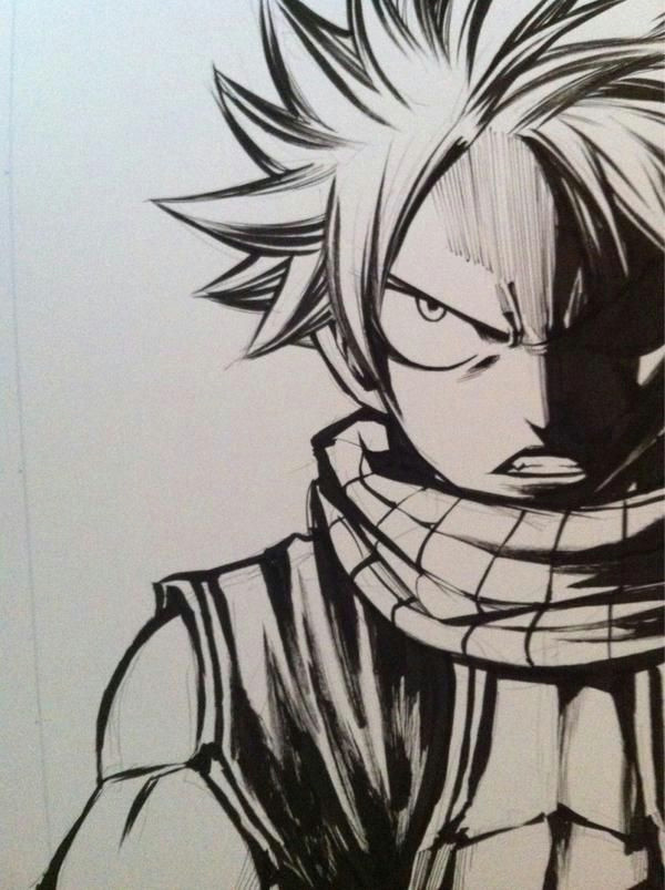 Drawing Anime Natsu C A A A On Hiro Mashima L Fairy Tail Fairy Natsu Fairy Tail