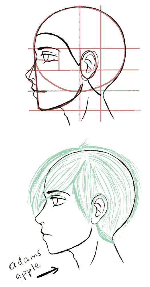 Drawing Anime Profile View How to Draw the Side Of A Face In Manga Style Manga Tuts