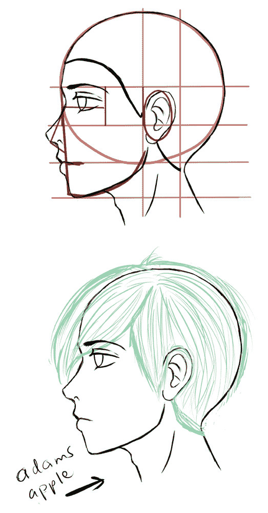 Drawing Anime Profile View How to Draw the Side Of A Face In Manga Style Manga Tuts