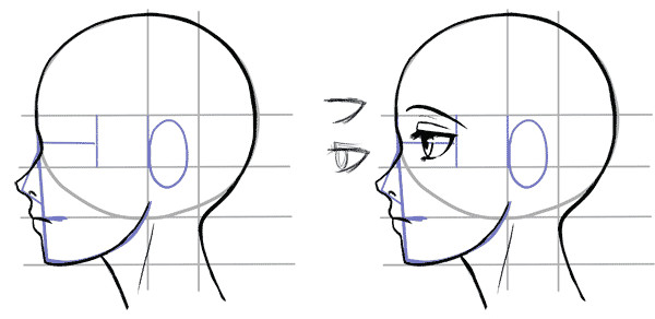 Drawing Anime Profile View How to Draw the Side Of A Face In Manga Style Manga Tuts