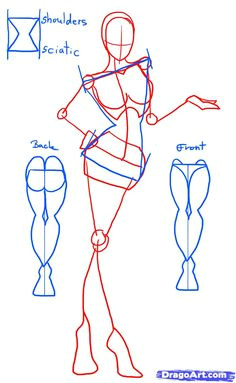 Drawing Anime Proportions 255 Best Draw Human Anatomy Body Proportions Images Drawing