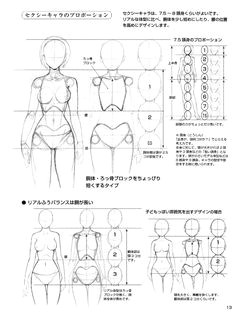 Drawing Anime Proportions 83 Best Drawing Proportions Images Drawings Sketches Figure