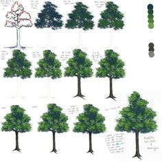 Drawing Anime Trees 75 Best How to Draw Realistic Trees Plants Bushes and Rocks Images