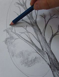 Drawing Anime Trees How to Draw A Tree Drawing Drawings Art Art Drawings