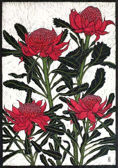 Drawing Australian Flowers 686 Best Botanical Arts Crafts Images In 2019 Botanical