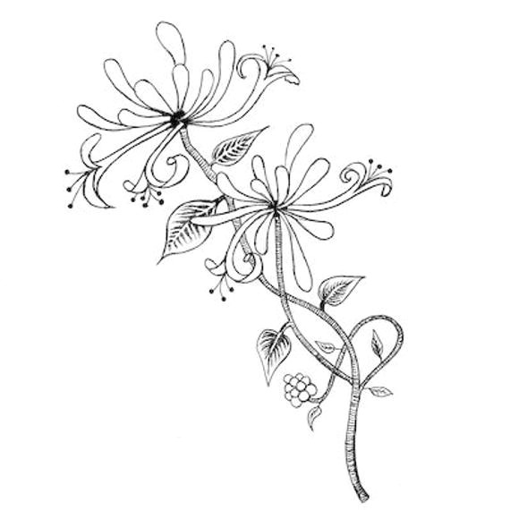 Drawing Bell Flowers Lavinia Stamps Honeysuckle Flowers Branch Foliage Fairy Magic