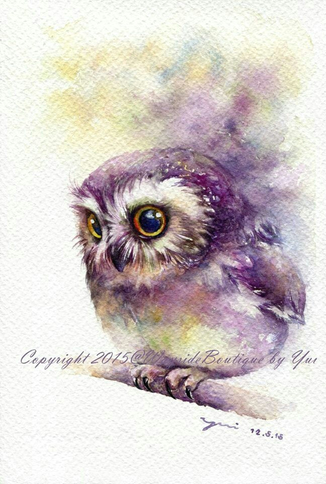 Drawing Bird Eyes Owl Watercolour Art Drawing Watercolor Painting Pinterest