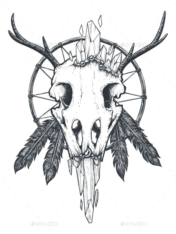 Drawing Bird Skull Pin by Best Graphic Design On Tattoo Designs Tattoos Crow Skull