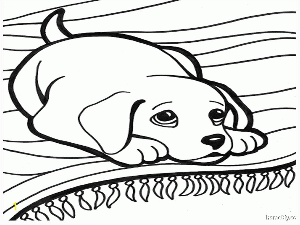 Drawing Black and White Dogs Fresh Black and White Dog Coloring Pages Nicho Me