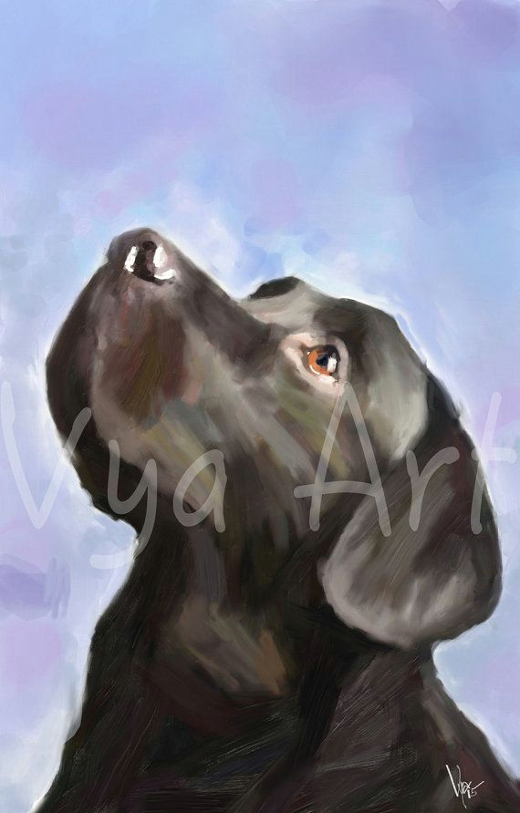 Drawing Black Dogs 4 Th Of July Black Labrador Gun Dog Print Retriever Fine by Vyaart