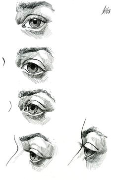 Drawing Both Eyes 14 Best Human Eye Drawing Images Paintings Painting Drawing