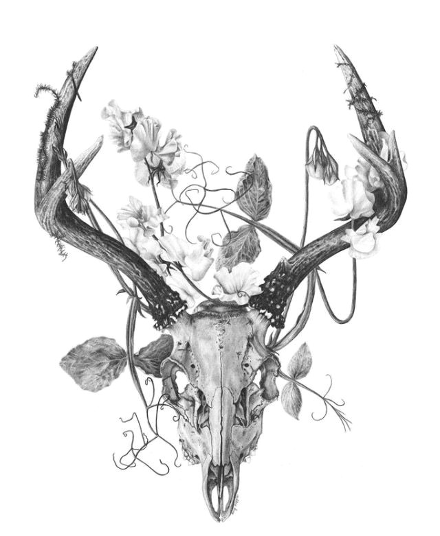 Drawing Bull Skulls Pin by Tiffany Larson On Tattoos Tattoos Deer Skull Tattoos