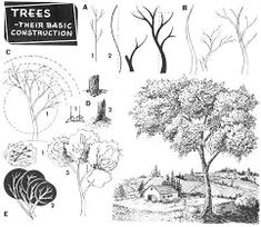 Drawing Bushes 77 Best How to Draw Realistic Trees Plants Bushes and Rocks Images