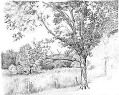 Drawing Bushes Image Result for How to Draw Realistic Bushes How to Draw