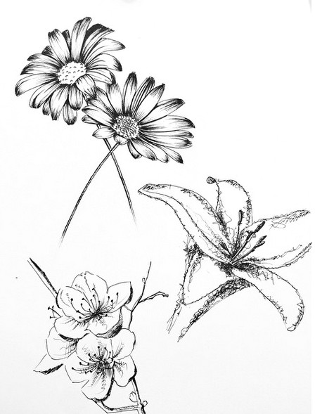 Drawing buttercup Flowers Small Flower Tattoo Cute Fine Line Watercolor Unique Different Girly