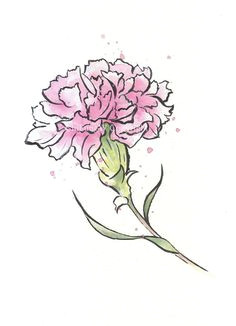 Drawing Carnation Flowers Step by Step 122 Best Carnation Tattoo Images In 2019 Tattoo Ideas Tiny Tattoo