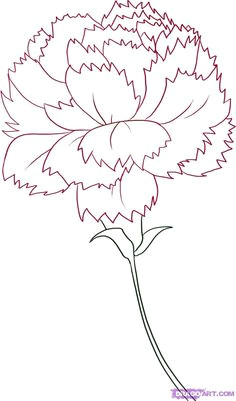 Drawing Carnation Flowers Step by Step 87 Best How to Draw Flowers Plants Images Drawing Flowers