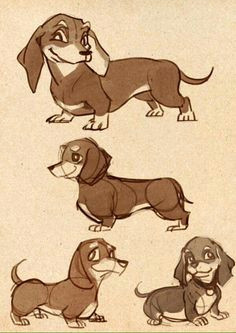 Drawing Cartoon Dachshund 126 Best Dachshund Drawing Images In 2019 Dachshund Drawing