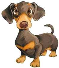 Drawing Cartoon Dachshund 126 Best Dachshund Drawing Images In 2019 Dachshund Drawing