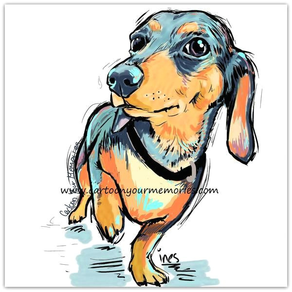 Drawing Cartoon Dachshund Little Dachshund Cartoon Your Memories Color Book Pages