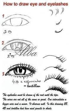 Drawing Cartoon Eyelashes 8 Best Eyelashes Drawing Images Drawing Techniques Learn to Draw