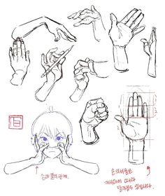 Drawing Cartoon Hands and Feet 734 Best Character Anatomy Hands Images Sketches Drawing Hands
