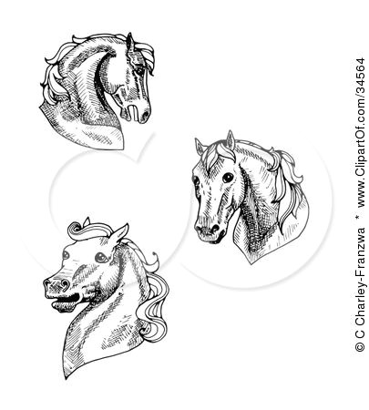 Drawing Cartoon Horse Head Clipart Illustration Of A Set Of Three Black and White Horse Heads