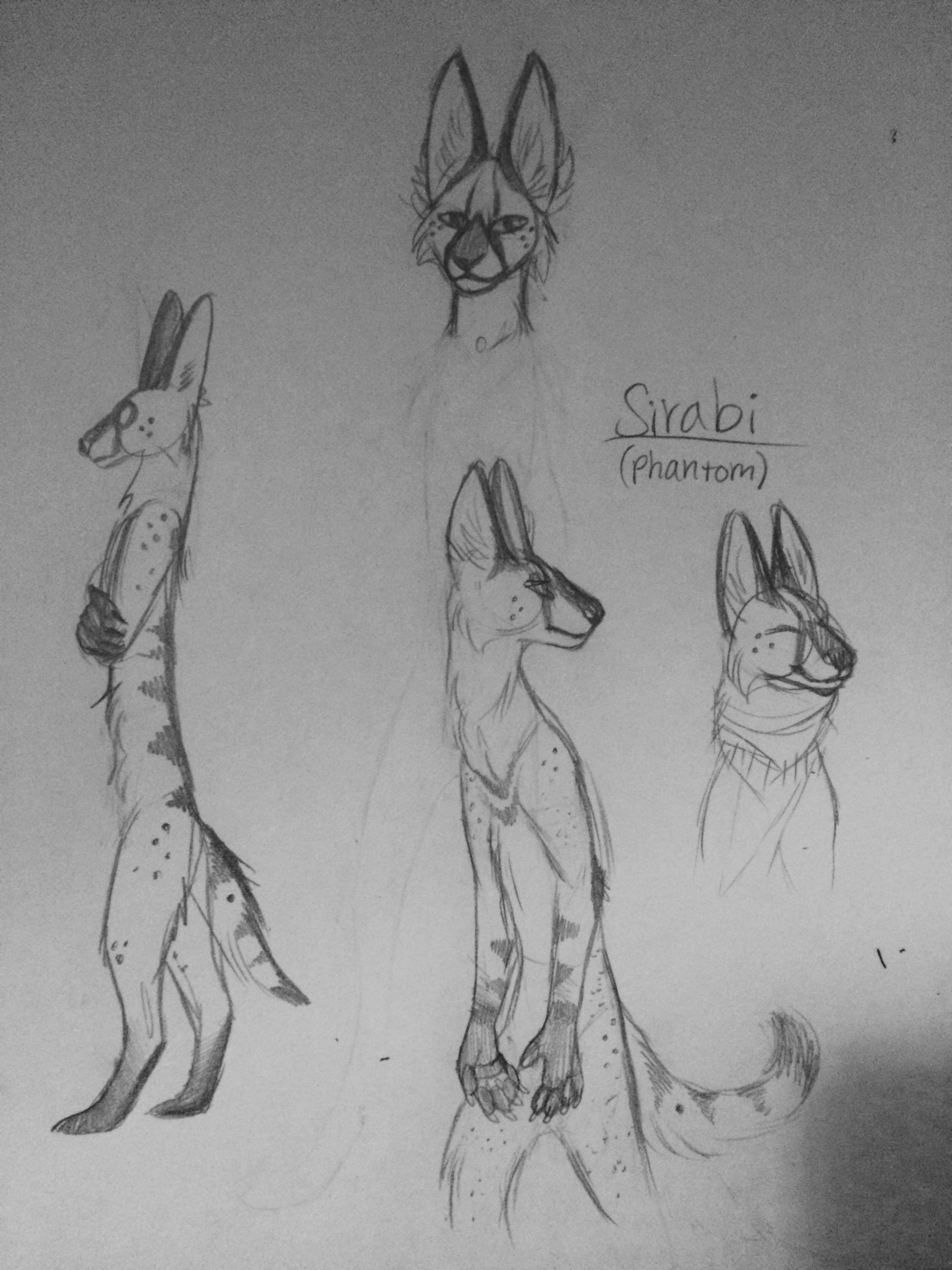 Drawing Cartoon Jackal I Did A Bit Of A Redesign for An Old Fantasy Oc I Might Change His