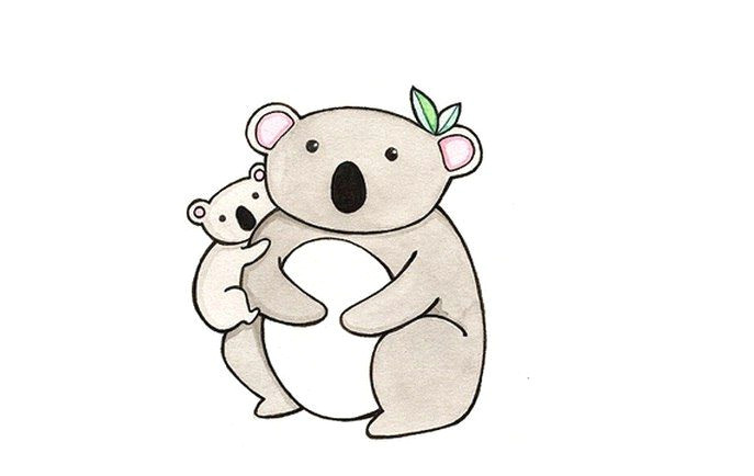 Drawing Cartoon Koala Pin by A Chanterelle A On Cute Pictures Pinterest