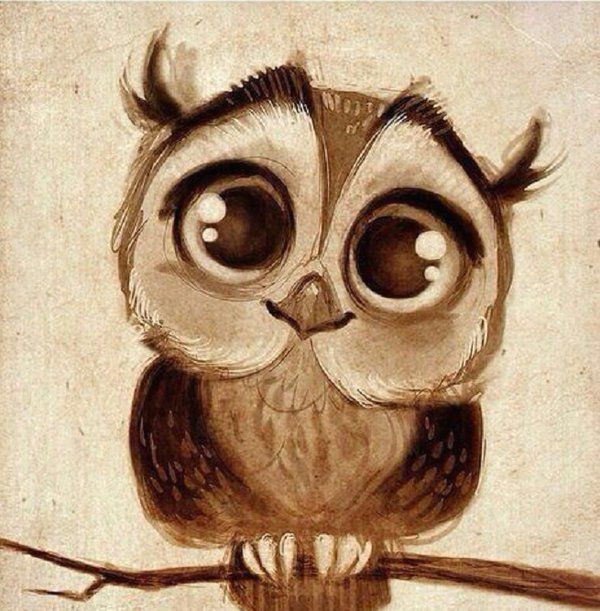 Drawing Cartoon Owl Eyes 33 Twitter Adorability Pinterest Drawings Owl Art and Painting