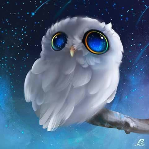 Drawing Cartoon Owl Eyes White Owl Blue Eyes Wise Birds Pinterest Owl Art Owl and