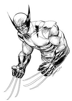 Drawing Cartoon Wolverine 303 Best Wolverine Images Comic Books Art Logan Wolverine Comic Art
