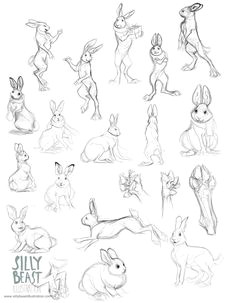 Drawing Cartoons 101 101 Best Rabbit Drawings Images Bunnies Funny Bunnies Rabbit Drawing