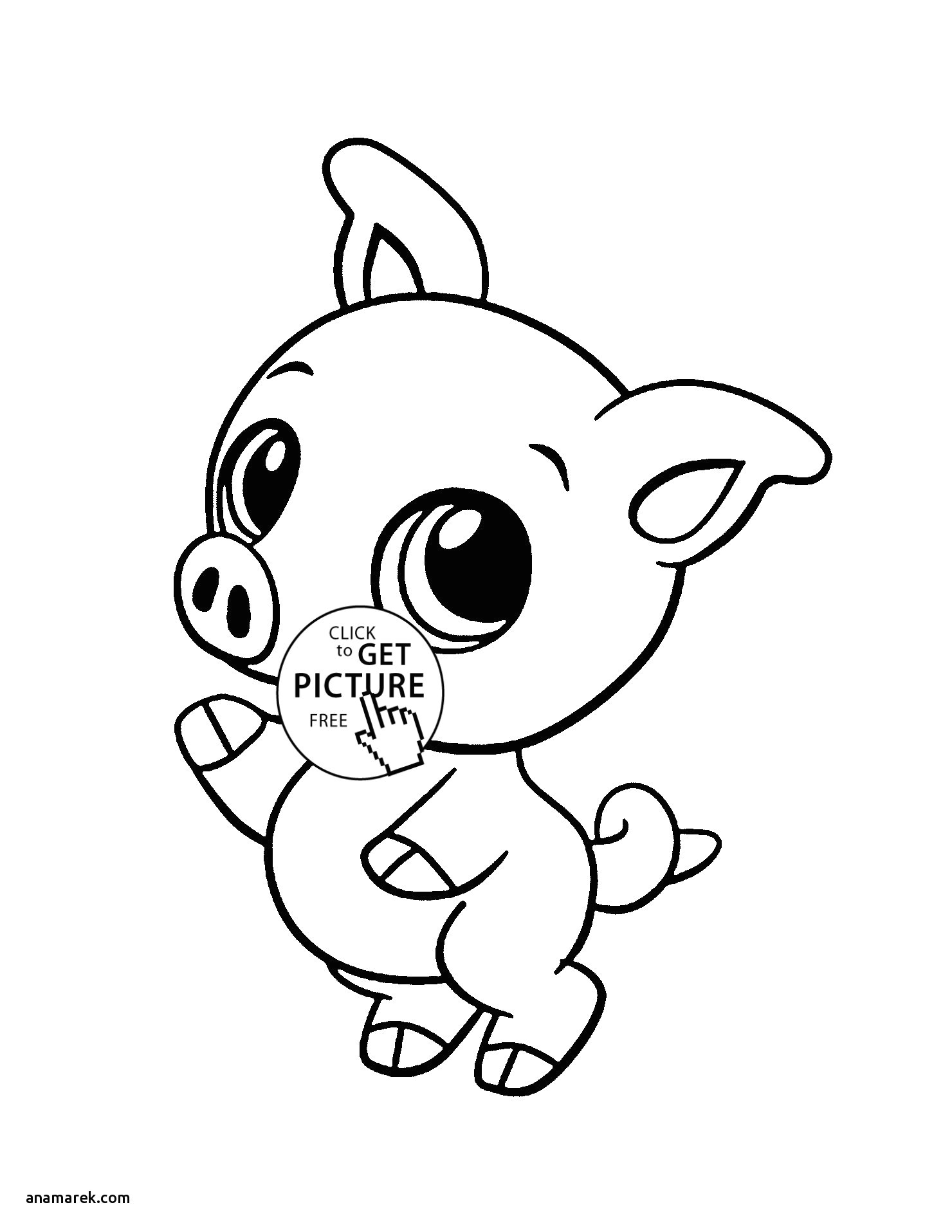 Drawing Cartoons Animals Cute Baby Zoo Animals Coloring Pages Inspirational Free Coloring