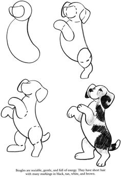 Drawing Cartoons Dogs 3640 Best How to Draw Images In 2019