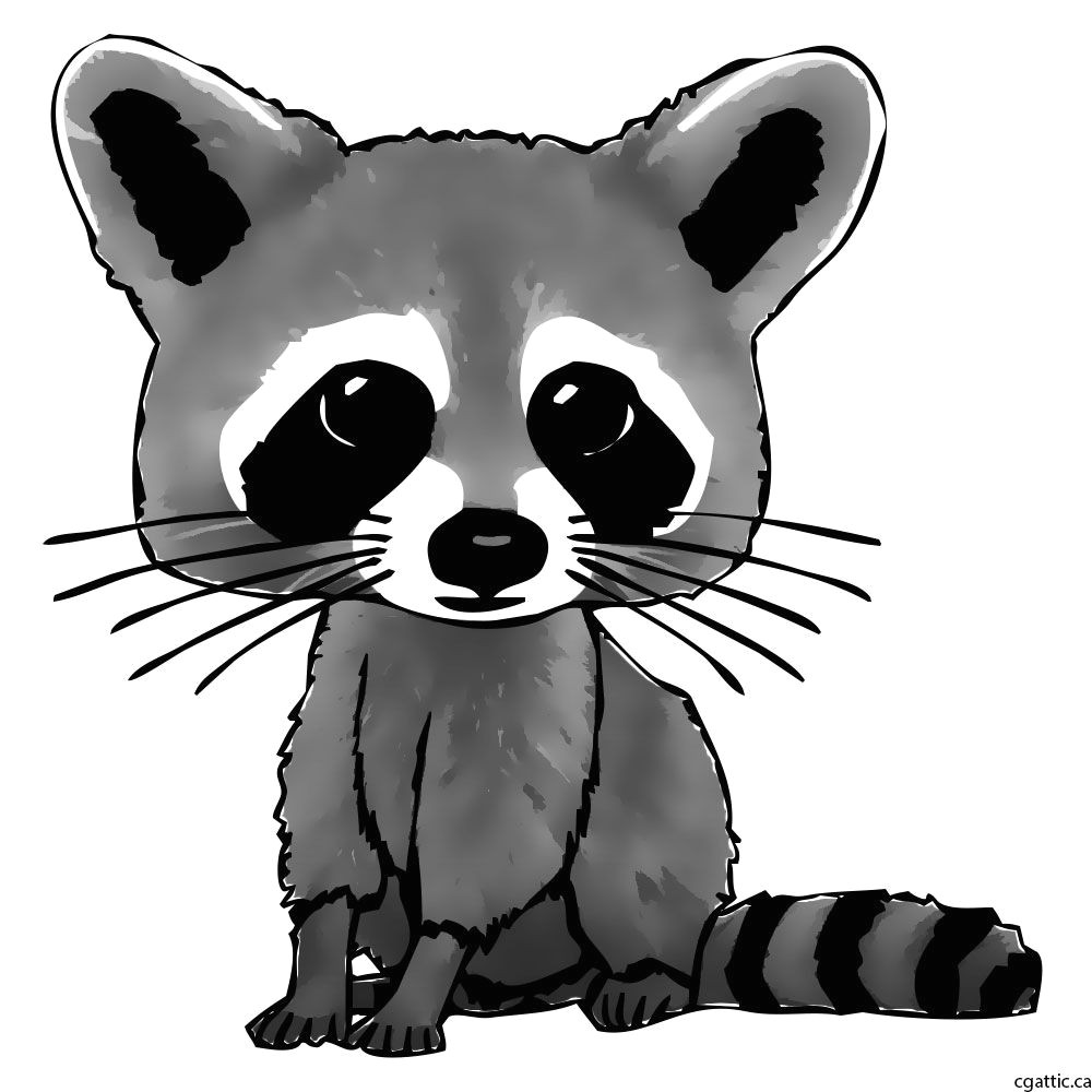 Drawing Cartoons On Computer Cartoon Raccoon Drawing In 4 Steps with Photoshop In 2019 Baby