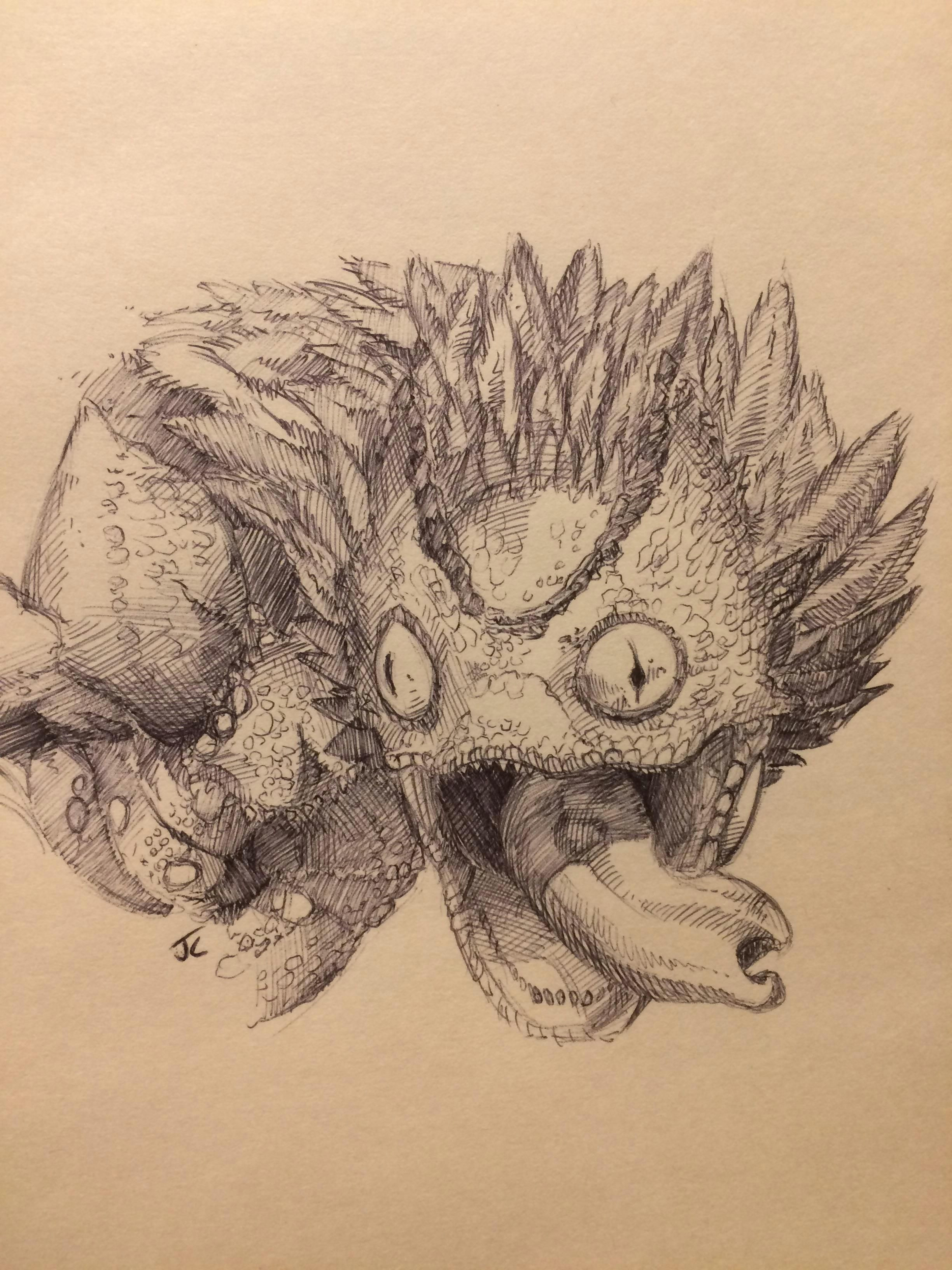 Drawing Cartoons Reddit Pukei Pukei Sketch by Jbob1390 On Reddit Monster Hunter