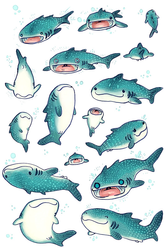 Drawing Cartoons Shark Whale Sharks by Dakshinadeer Redbubble Art Design Shark