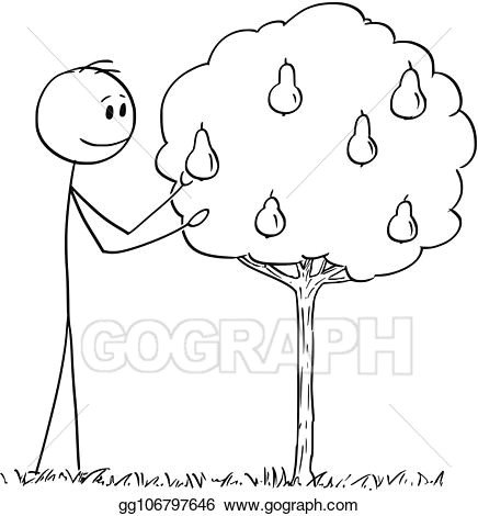 Drawing Cartoons Trees Clip Art Vector Cartoon Of Man Picking Fruit From Small Pear Tree