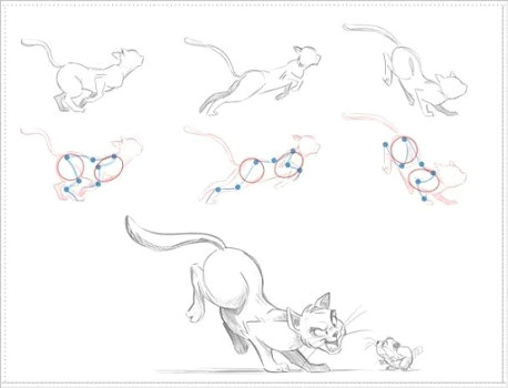 Drawing Cartoons Tutorials for Beginners Diy Animal Drawing Tutorial for Beginner by Elgendroid Lifestyle