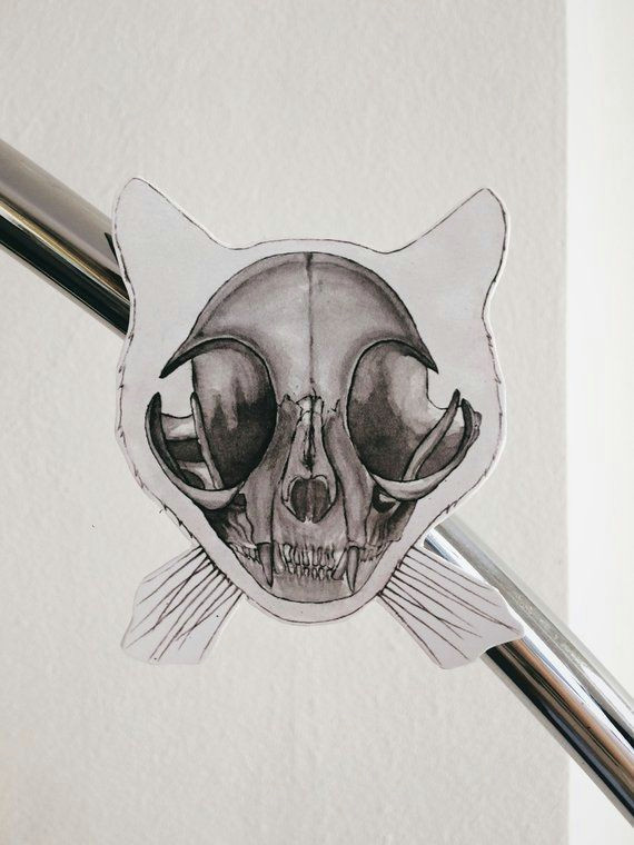 Drawing Cat Skull Cat Skull Skeleton Fridge Magnet Anatomy Refrigerator Vinyl Magnet